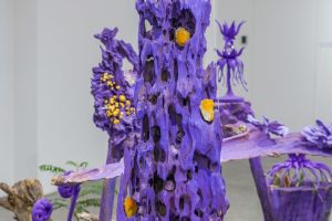 DSC00157